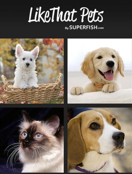 Find a Loving Home | Pet Adoption App | Help Homeless Animals
