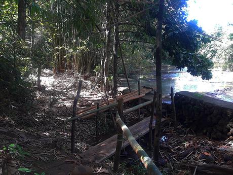 platform-bridges made by bamboo