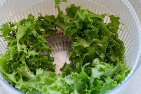 best-salad-spinner