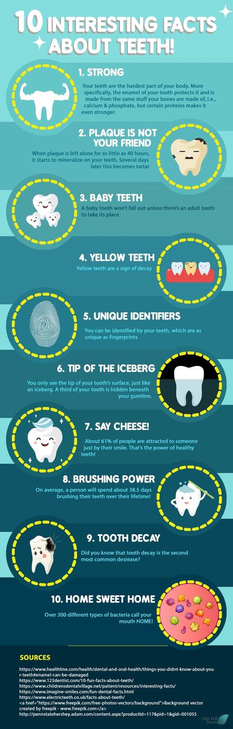 10 Interesting Facts About Teeth Infographic