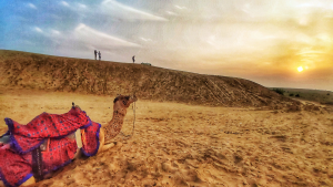 10 Best Things to do in Jaisalmer: A Golden Oasis in the Thar Desert
