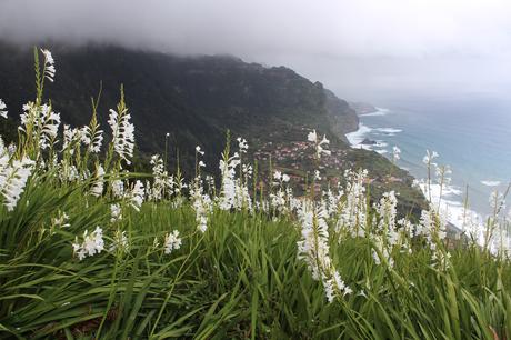 Madeira – the verdant island