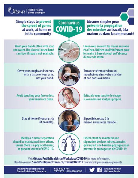 COVID-19 and your pet: Can my dog or cat get coronavirus?