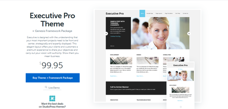 executive pro Insurance WordPress Themes executive pro Insurance WordPress Themes