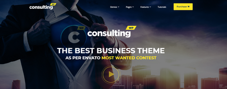 consulting consulting