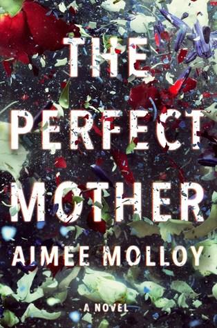 The Perfect Mother by Aimee Molloy- Feature and Review
