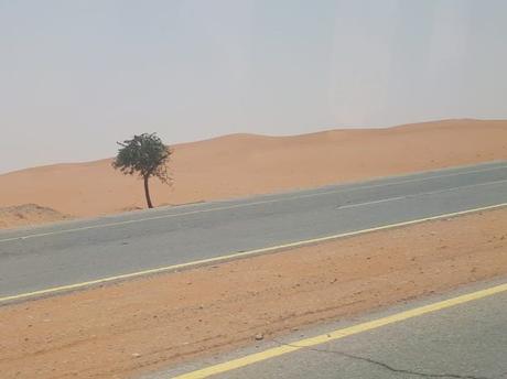 Backpacking in Saudi Arabia: Touring The Walled Mud City of Shaqra Backpacking in Saudi Arabia: Touring The Walled Mud City of Shaqra