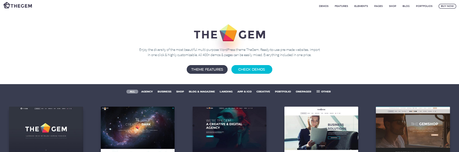themes of TheGem themes of TheGem