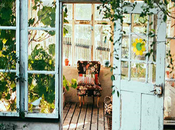 Best Terrace Garden Container Ideas 2020