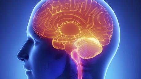 New study: Ketones stabilize brain function