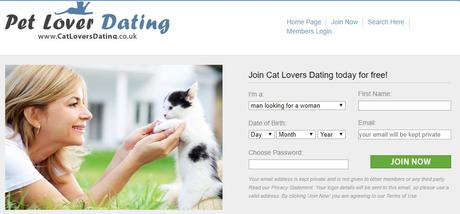 Cat Dating Apps | Where Cat Lovers Benefit More