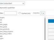Custom User Role WordPress