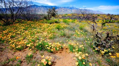 The 10 best less crowded hikes in the US