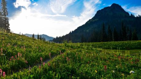 The 10 best less crowded hikes in the US