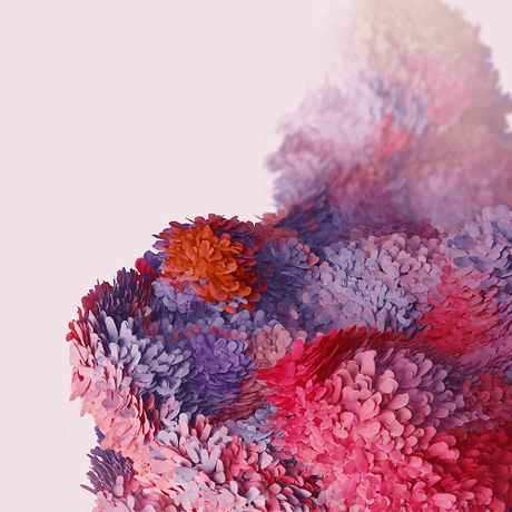 Vivo Y81 Vs Xiaomi Mi 10 5g Vs Samsung Galaxy S20 Ultra Vivo Y81 Vs Xiaomi Mi 10 5g Vs Samsung Galaxy S20 Ultra