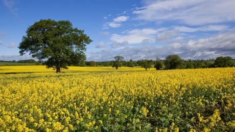 The 10 best unpopular hikes in the UK