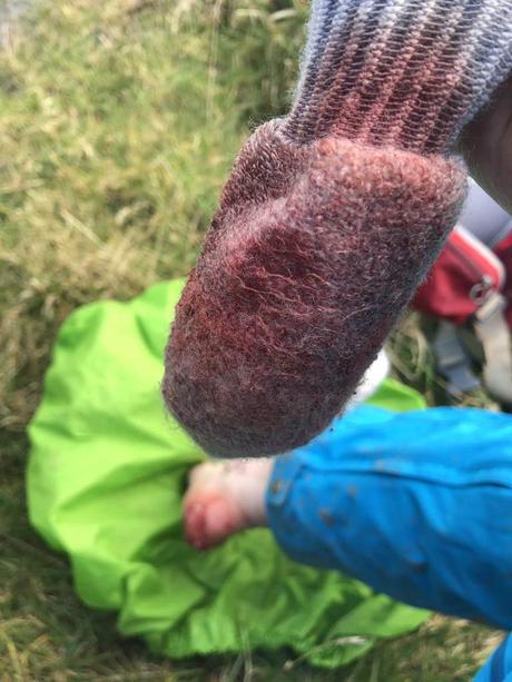 Hiking the Wicklow Way from Clonegal to Glendalough at the start of the Coronavirus outbreak Hiking the Wicklow Way from Clonegal to Glendalough at the start of the Coronavirus outbreak