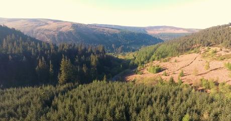 Hiking the Wicklow Way from Clonegal to Glendalough at the start of the Coronavirus outbreak Hiking the Wicklow Way from Clonegal to Glendalough at the start of the Coronavirus outbreak