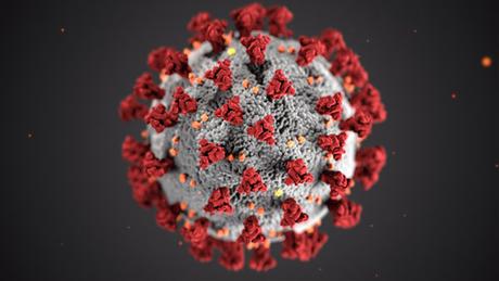 Corona Virus Structure COVID-19