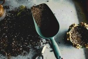 Does Potting Soil Go Bad? potting soil