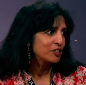 richest women, jayshree ullal, ceo