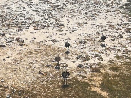 Backpacking in South Africa: The Most South-Western Tip of Africa, The Cape of Good Hope Backpacking in South Africa: The Most South-Western Tip of Africa, The Cape of Good Hope