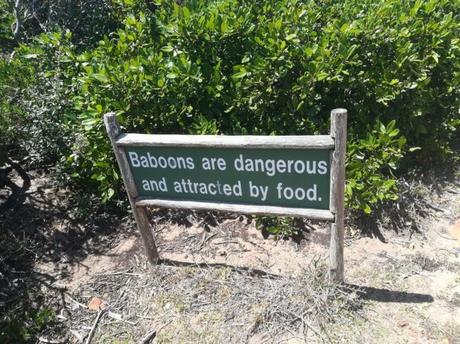 Backpacking in South Africa: The Most South-Western Tip of Africa, The Cape of Good Hope Backpacking in South Africa: The Most South-Western Tip of Africa, The Cape of Good Hope
