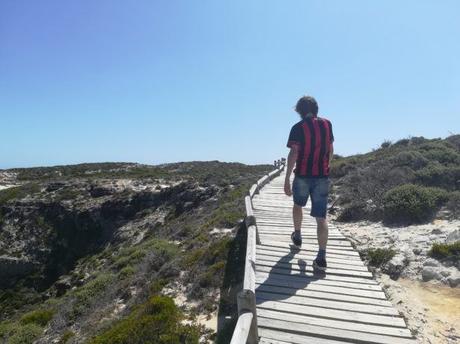 Backpacking in South Africa: The Most South-Western Tip of Africa, The Cape of Good Hope Backpacking in South Africa: The Most South-Western Tip of Africa, The Cape of Good Hope