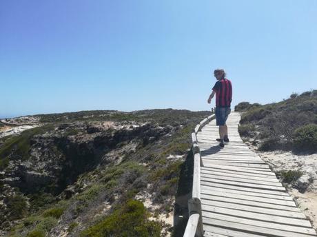 Backpacking in South Africa: The Most South-Western Tip of Africa, The Cape of Good Hope Backpacking in South Africa: The Most South-Western Tip of Africa, The Cape of Good Hope