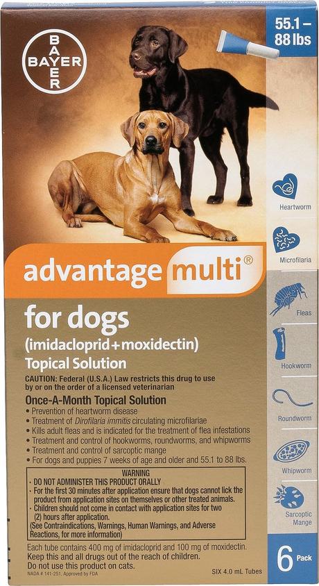 advantage multi dogs