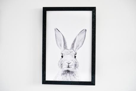 rabbit print, rabbit frame