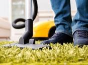 Much Hire Carpet Cleaning Services Cost Australia?