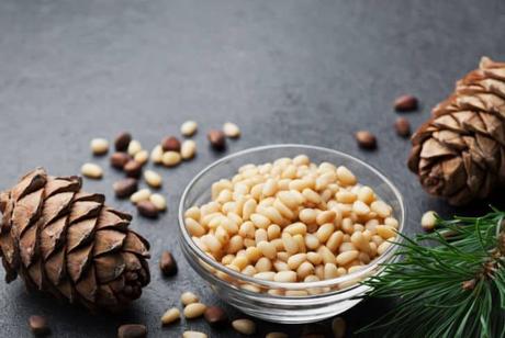 13 Health Benefits of Eating Pine Nuts (Chilgoza) on Your Mind and Body