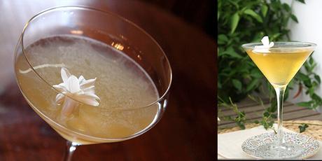 Golden Jasmine Martini Cocktail