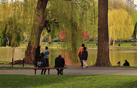 A Reflection on Our Parks | Liz Vizza