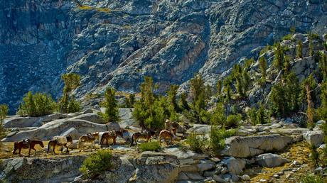 10 Best Multiday Hikes in California 10 Best Multiday Hikes in California