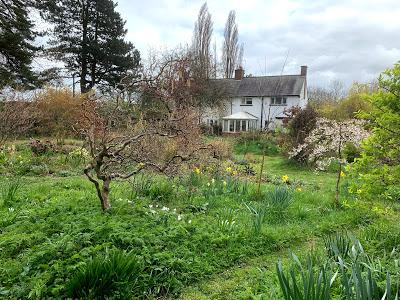 How we can help support closed nurseries, gardens and gardeners