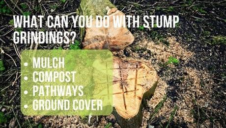 repurpose stump grindings
