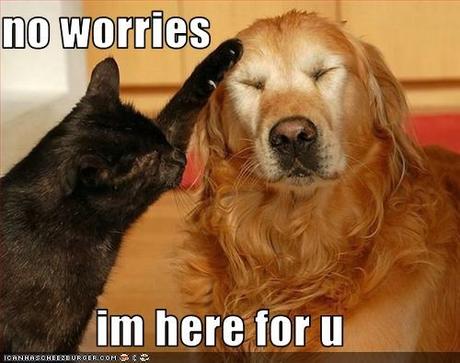 no worries im here for u - Cheezburger - Funny Memes | Funny Pictures