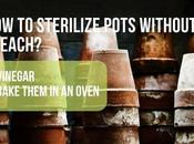 Sterilize Pots Without Bleach?