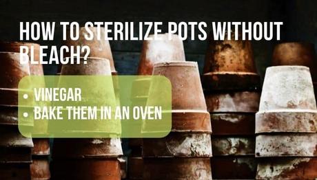 sterilize pots without bleach