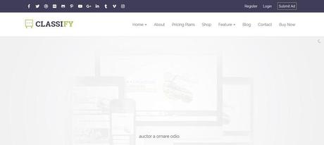 WordPress Classifieds Themes