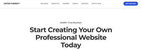 Most Popular One Page WordPress Themes - 2020 brooklyn