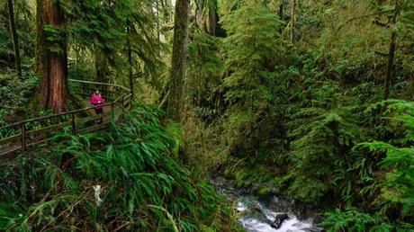 10 Best Multiday Hikes in Washington 10 Best Multiday Hikes in Washington