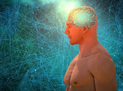 Best Course Artificial Intelligence Beginners