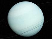 Uranus Leaks What Happens Next?