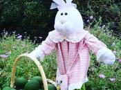 Easter Bunny Brings Avocados!