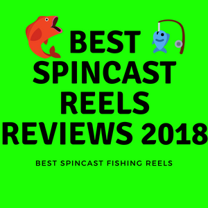Best Spincast Reels