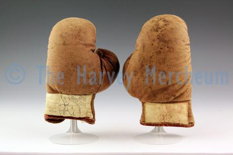 Joe Palooka children's boxing gloves front view