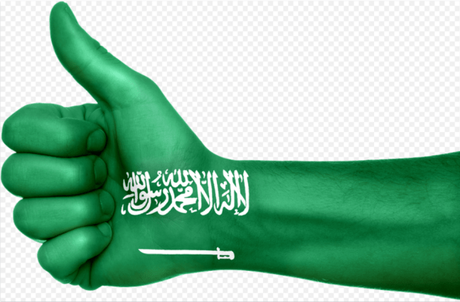 15+ Best Way To Make Money Online In Saudi Arabia (2020) | (100%